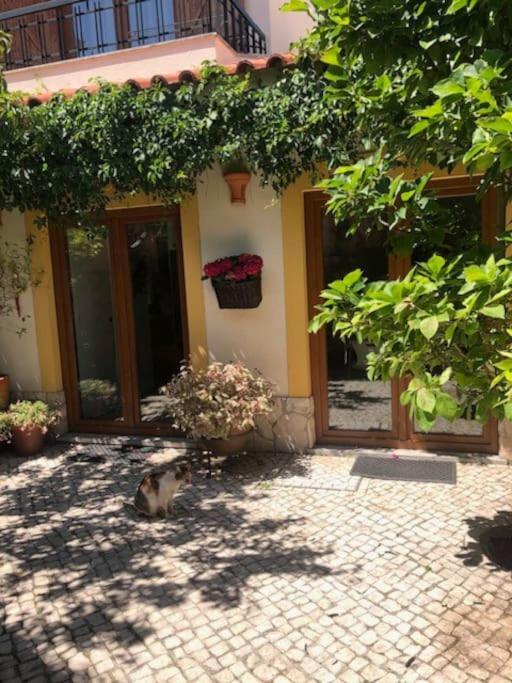 Avilla. Luxo E Charme. Villa *